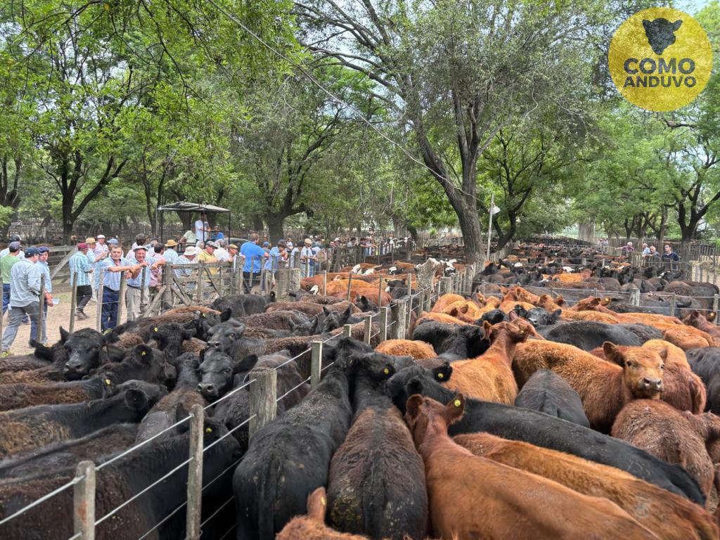 Las ventas de fin de año